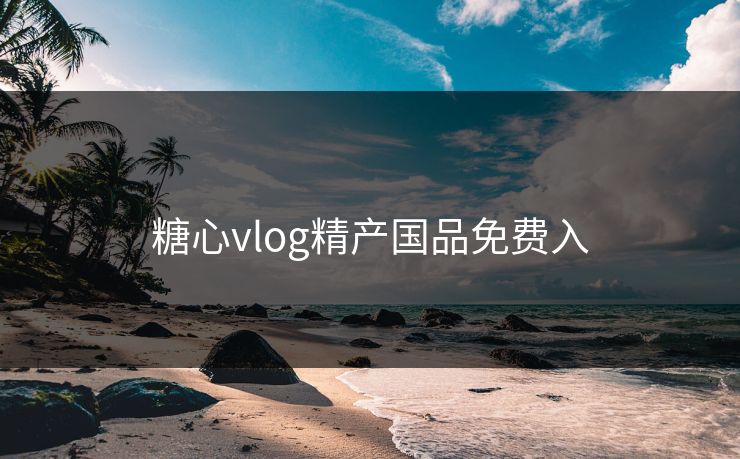 糖心vlog精产国品免费入