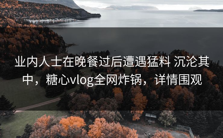 业内人士在晚餐过后遭遇猛料 沉沦其中,糖心vlog全网炸锅,详情围观 业内人士在晚餐过后遭遇猛料 沉沦其中,糖心vlog全网炸锅,详情围观