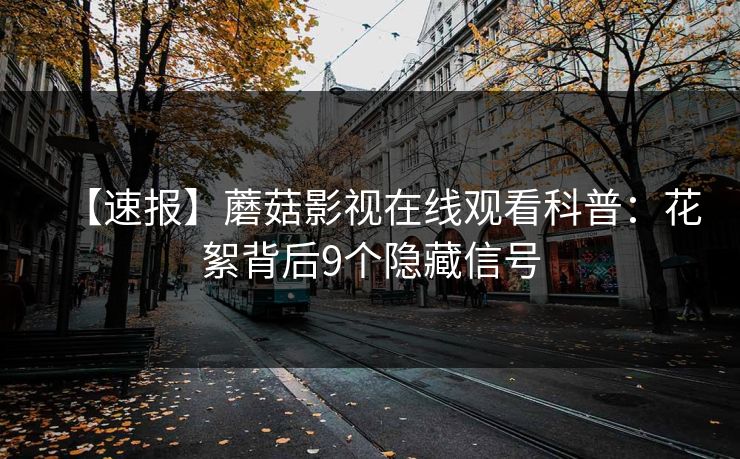 【速报】蘑菇影视在线观看科普：花絮背后9个隐藏信号