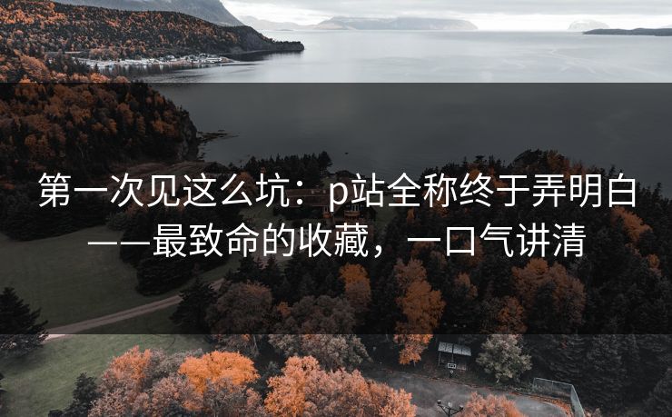 第一次见这么坑：p站全称终于弄明白——最致命的收藏，一口气讲清